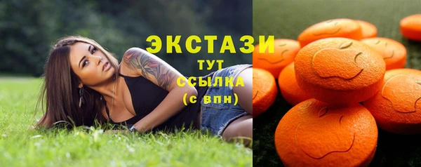 мет Алексин