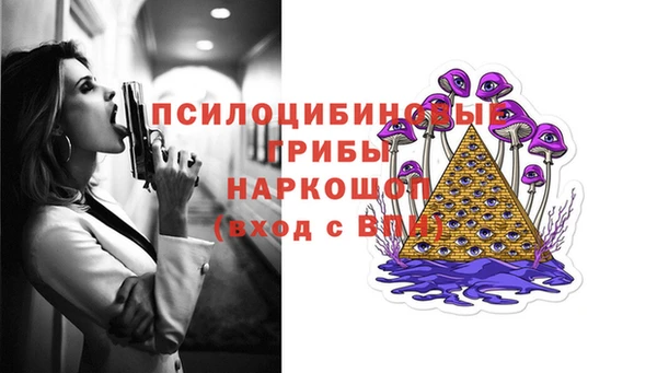 ГАЛЛЮЦИНОГЕННЫЕ ГРИБЫ Остров