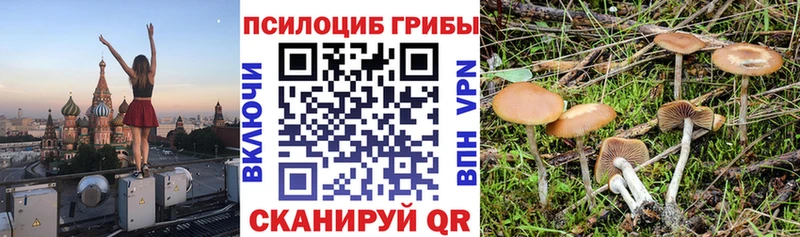 даркнет наркотические препараты  Рузаевка  Псилоцибиновые грибы прущие грибы  KRAKEN онион 